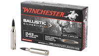 Winchester Ammo Supreme 243 Win Silvertip 95 Grain