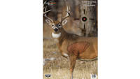 Birchwood Casey Pregame Deer 16.5x24 3-Pack [35401