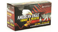 Federal Ammo American Eagle 243 Win 75 Grain JHP [
